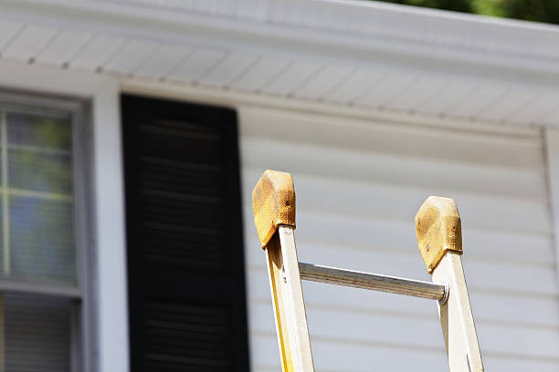 Best Hoarding Cleanup  in Dunedin, FL