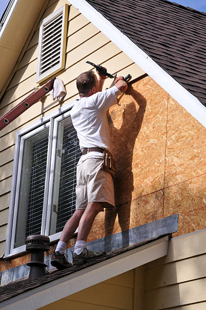 Best Carpet Removal and Disposal  in Dunedin, FL